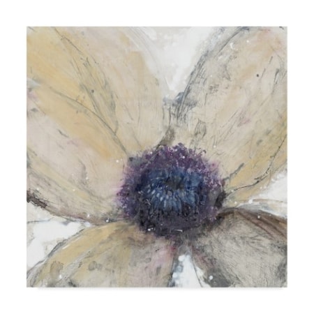 Tim Otoole 'Flower Flow I' Canvas Art,14x14